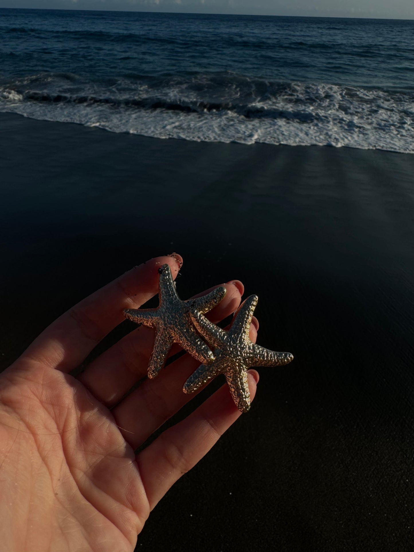 Brincos Starfish